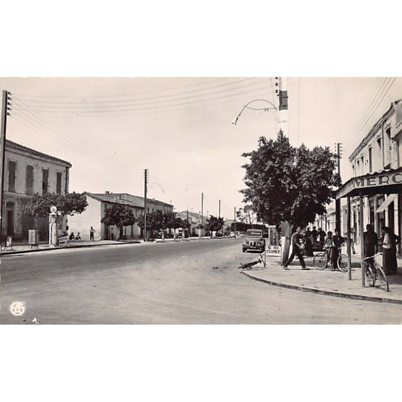 Rare collectable postcards of Algeria. Vintage Postcards of Algeria