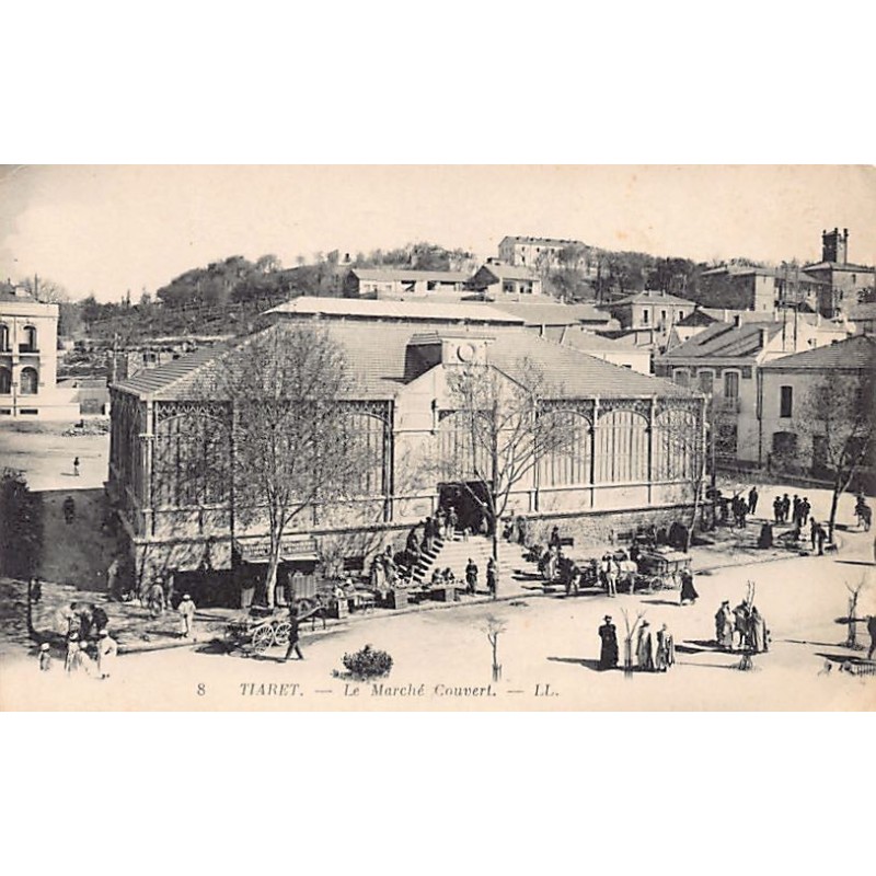 Rare collectable postcards of Algeria. Vintage Postcards of Algeria