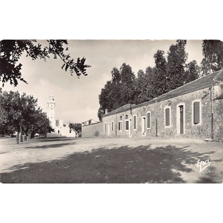 Rare collectable postcards of Algeria. Vintage Postcards of Algeria