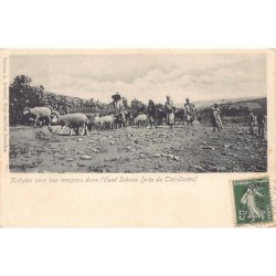 Rare collectable postcards of Algeria. Vintage Postcards of Algeria