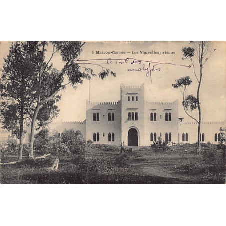 Rare collectable postcards of Algeria. Vintage Postcards of Algeria