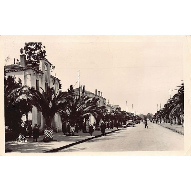 Rare collectable postcards of Algeria. Vintage Postcards of Algeria