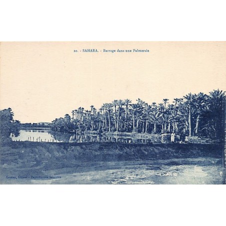 Rare collectable postcards of Algeria. Vintage Postcards of Algeria