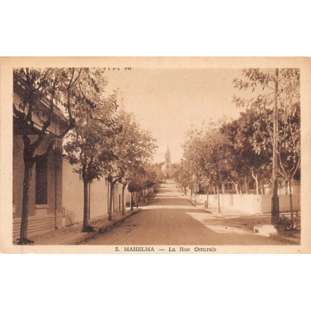 Rare collectable postcards of Algeria. Vintage Postcards of Algeria