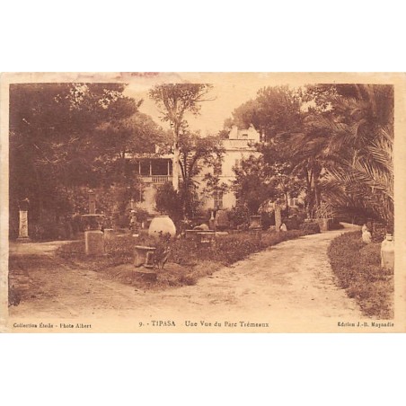 Rare collectable postcards of Algeria. Vintage Postcards of Algeria