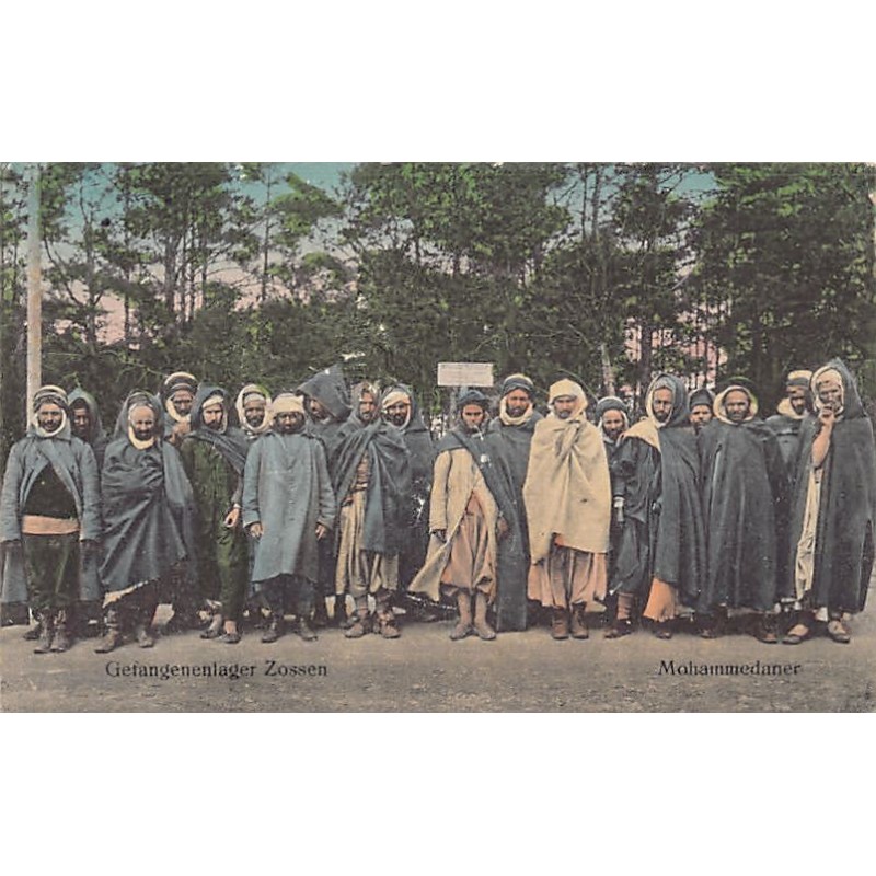 Rare collectable postcards of Algeria. Vintage Postcards of Algeria