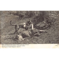 Rare collectable postcards of France. Vintage Postcards of France