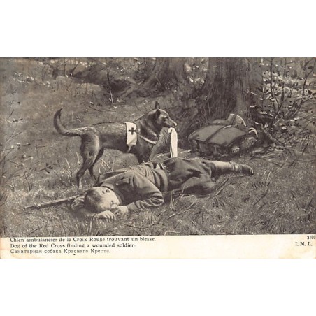 Rare collectable postcards of France. Vintage Postcards of France