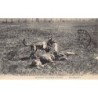 Rare collectable postcards of France. Vintage Postcards of France