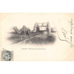 Rare collectable postcards of Tunisia. Vintage Postcards of Tunisia