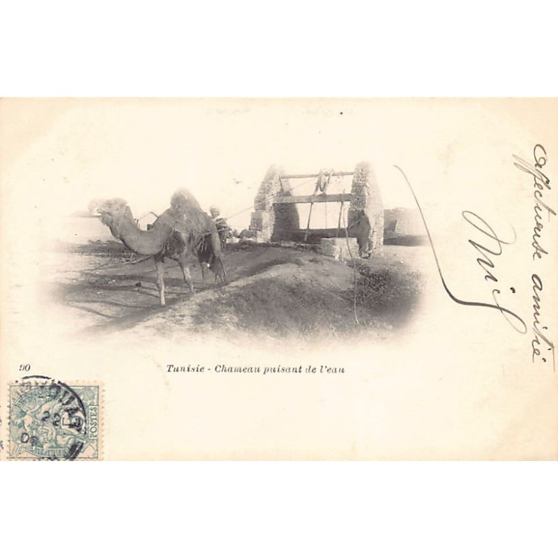 Rare collectable postcards of Tunisia. Vintage Postcards of Tunisia