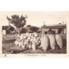 Rare collectable postcards of Tunisia. Vintage Postcards of Tunisia