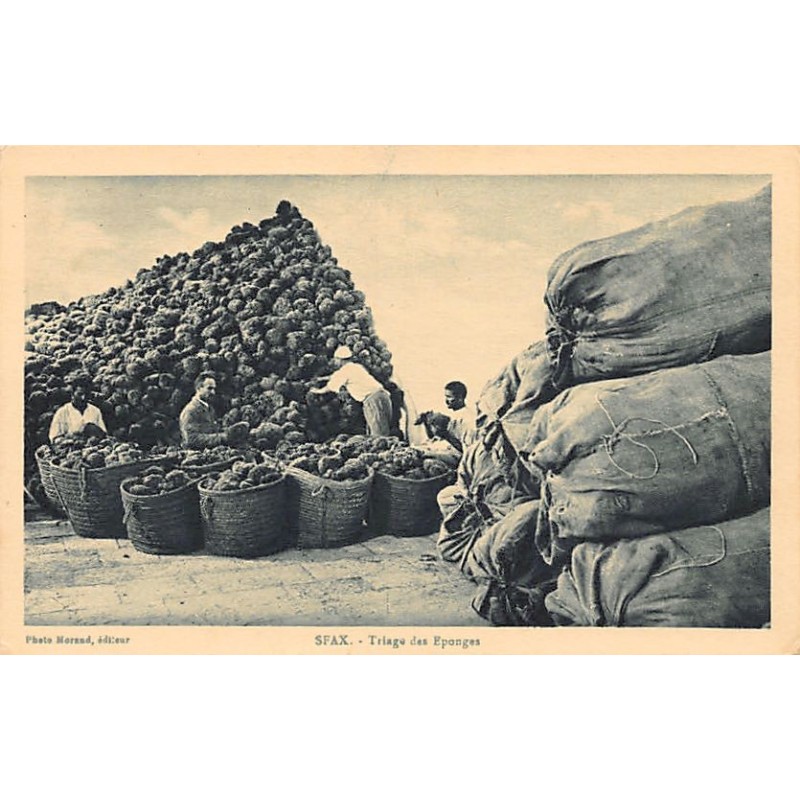 Rare collectable postcards of Tunisia. Vintage Postcards of Tunisia