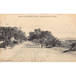 Rare collectable postcards of Tunisia. Vintage Postcards of Tunisia