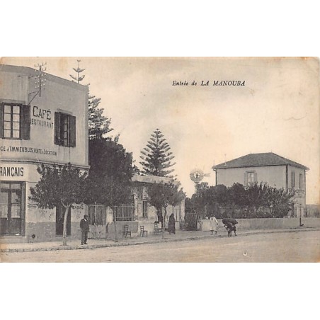Rare collectable postcards of Tunisia. Vintage Postcards of Tunisia