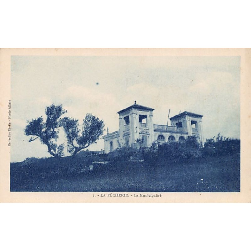 Rare collectable postcards of Tunisia. Vintage Postcards of Tunisia