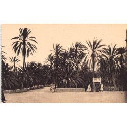 Rare collectable postcards of Tunisia. Vintage Postcards of Tunisia