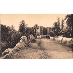 Rare collectable postcards of Tunisia. Vintage Postcards of Tunisia