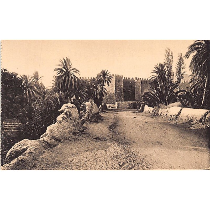 Rare collectable postcards of Tunisia. Vintage Postcards of Tunisia