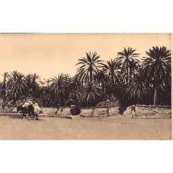 Rare collectable postcards of Tunisia. Vintage Postcards of Tunisia
