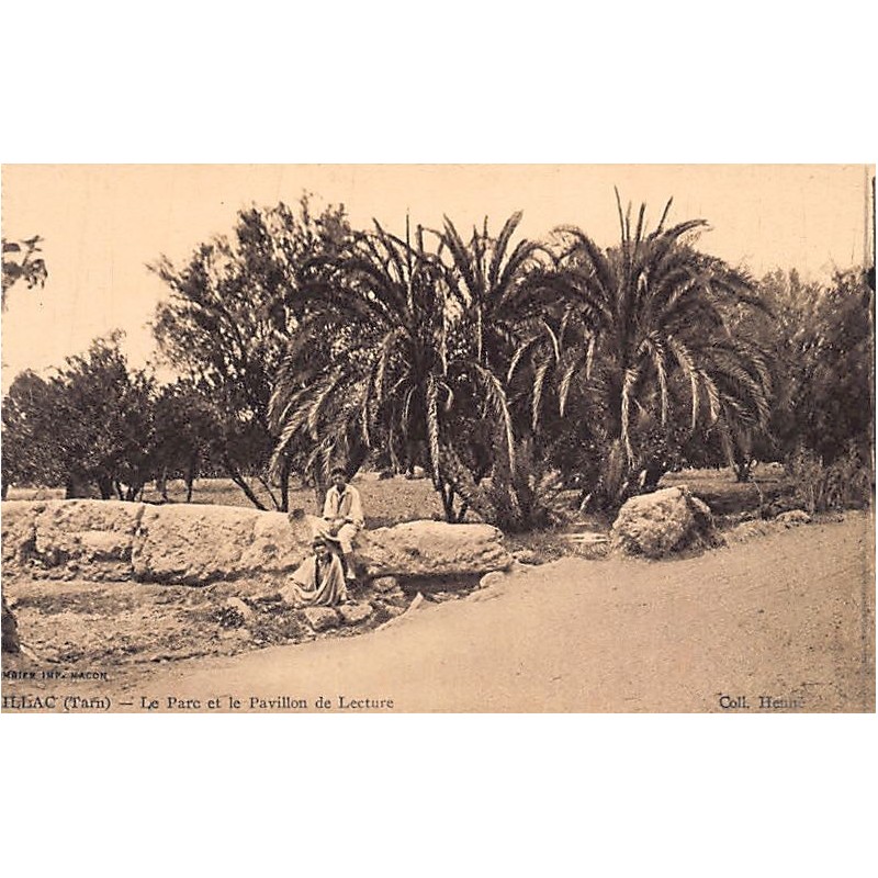 Rare collectable postcards of Tunisia. Vintage Postcards of Tunisia