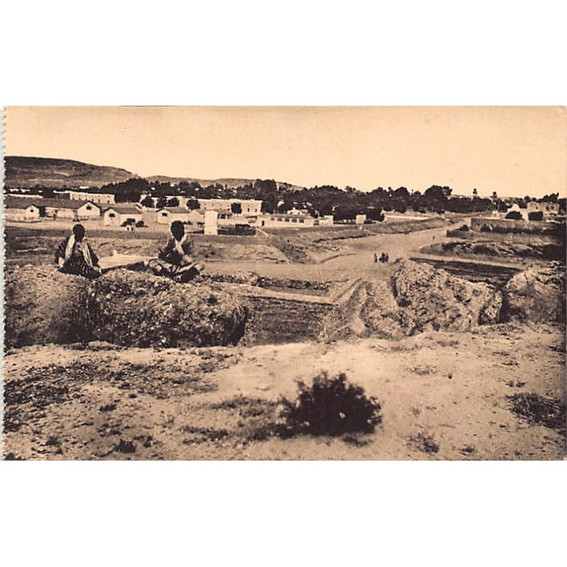 Rare collectable postcards of Tunisia. Vintage Postcards of Tunisia