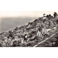 Rare collectable postcards of Tunisia. Vintage Postcards of Tunisia