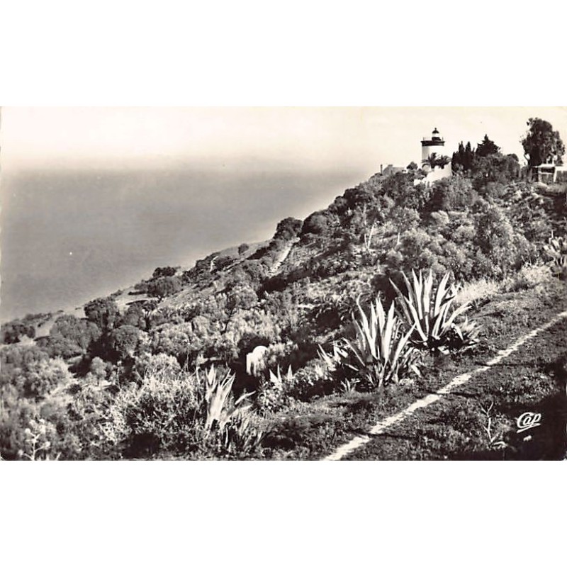 Rare collectable postcards of Tunisia. Vintage Postcards of Tunisia