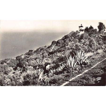Rare collectable postcards of Tunisia. Vintage Postcards of Tunisia