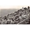 Rare collectable postcards of Tunisia. Vintage Postcards of Tunisia