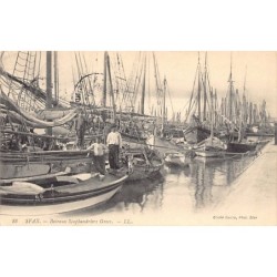 Rare collectable postcards of Tunisia. Vintage Postcards of Tunisia
