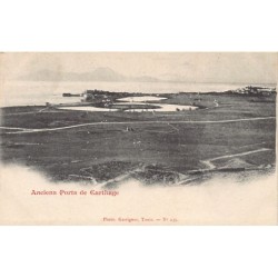 Rare collectable postcards of Tunisia. Vintage Postcards of Tunisia