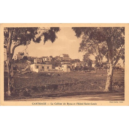 Rare collectable postcards of Tunisia. Vintage Postcards of Tunisia