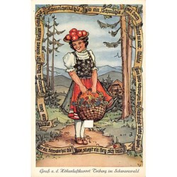 Rare collectable postcards of Germany. Vintage Postcards of Germany