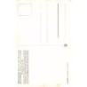 Rare collectable postcards of Germany. Vintage Postcards of Germany