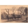 Rare collectable postcards of Germany. Vintage Postcards of Germany