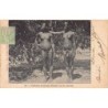 Rare collectable postcards of ETHNIC NUDE. Vintage Postcards of ETHNIC NUDE