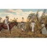 Rare collectable postcards of Cuba. Vintage Postcards of Cuba