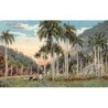 Rare collectable postcards of Cuba. Vintage Postcards of Cuba