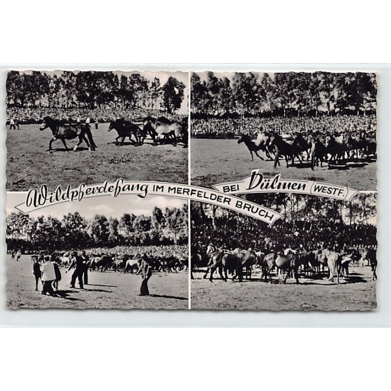 Rare collectable postcards of GERMANY Deutschland. Vintage Postcards of GERMANY Deutschland
