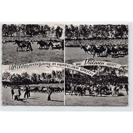 Rare collectable postcards of GERMANY Deutschland. Vintage Postcards of GERMANY Deutschland