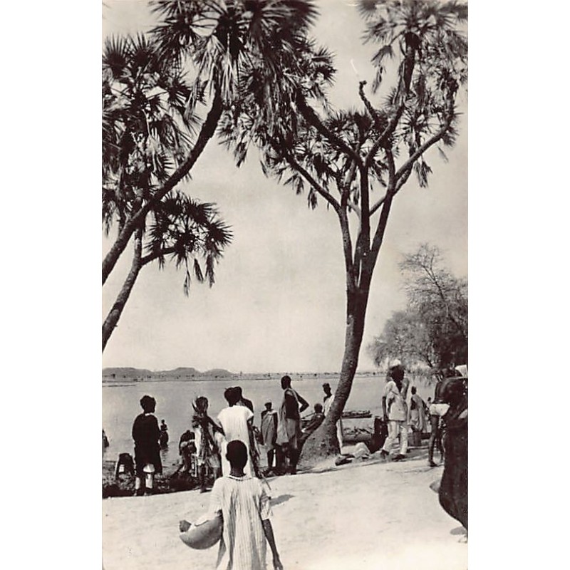 Rare collectable postcards of Niger. Vintage Postcards of Niger