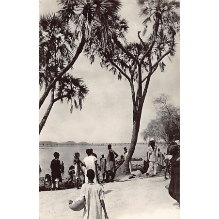 Rare collectable postcards of Niger. Vintage Postcards of Niger