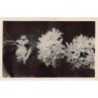 Rare collectable postcards of Réunion. Vintage Postcards of Réunion