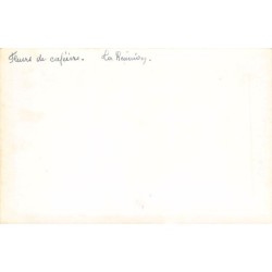 Rare collectable postcards of Réunion. Vintage Postcards of Réunion