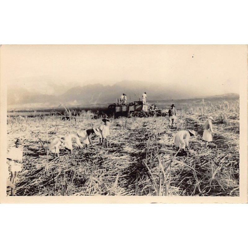 Rare collectable postcards of Réunion. Vintage Postcards of Réunion