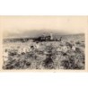Rare collectable postcards of Réunion. Vintage Postcards of Réunion
