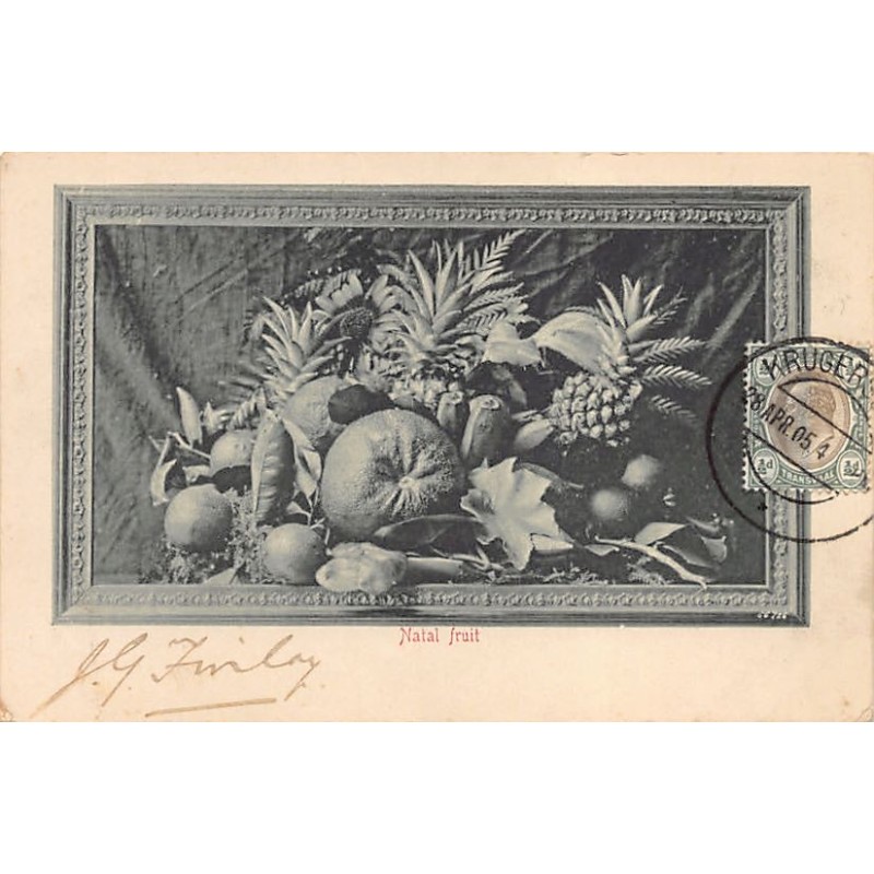 Rare collectable postcards of South Africa. Vintage Postcards of South Africa