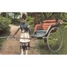 Rare collectable postcards of South Africa. Vintage Postcards of South Africa
