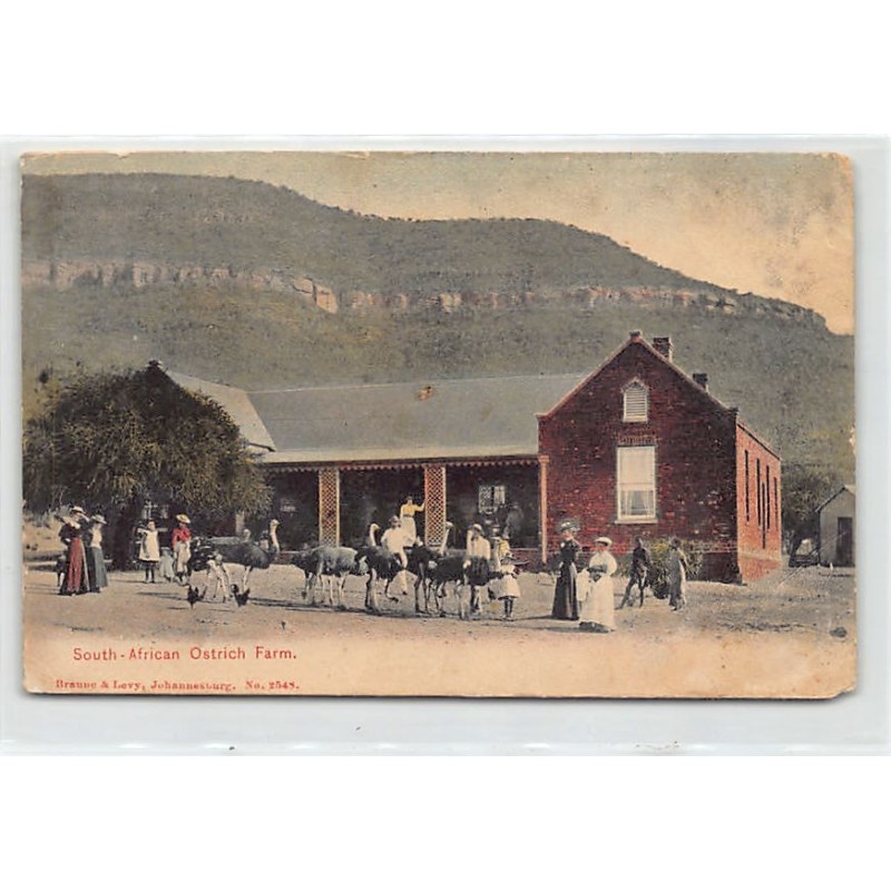 Rare collectable postcards of South Africa. Vintage Postcards of South Africa